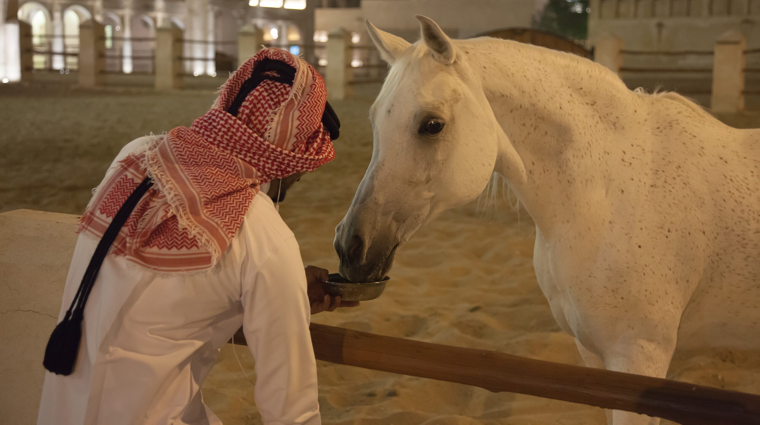 Equine Veterinary Jobs in the Middle East